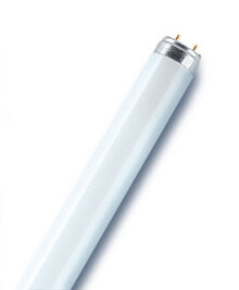 Умные лампочки Osram L 36 люминисцентная лампа 36 W G13 Теплый белый A 4050300518114