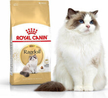 Сухие корма для кошек Royal Canin Ragdol Adult karma sucha dla kotow doroslych rasy ragdoll 0.4 kg