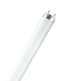Умные лампочки Osram Lumilux T8 люминисцентная лампа 70 W G13 Холодный белый A 4008321003959