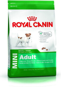 Сухие корма для собак Сухой корм для собак Royal Canin Mini Adult маленьких пород