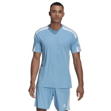 Мужские спортивные футболки Мужская футболка спортивная голубая для бега  adidas Squadra 21 JSY M GN6726