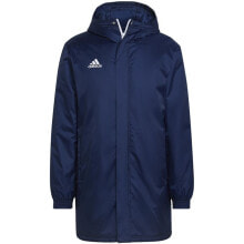 Мужские спортивные куртки Adidas Entrada 22 Stadium Jacket M HG6301