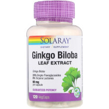 Solaray Ginkgo Biloba Extract Экстракт листьев гинкго билоба 60 мг 120 растительных капсул