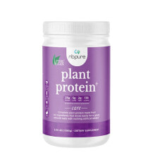 NBPure Plant Protein + with Chia & Flax Vanilla Растительный протеиновый порошок со вкусом ванили 1,65 кг