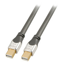 Компьютерные разъемы и переходники Lindy 36306 DisplayPort кабель 1 m Mini DisplayPort Серый