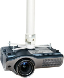Аксессуары для мультимедийных проекторов Vision TM-1200 крепление для проекторов Потолок Белый