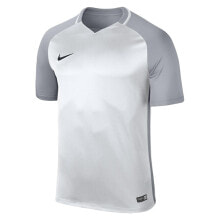 Мужские спортивные футболки Мужская футболка спортивная серая с логотипом Nike Dry Trophy Iii Jsy