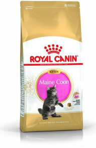 Сухие корма для кошек Сухой корм для кошек Royal Canin, для котят породы мейн-кун