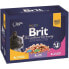 Фото #1 товара влажный корм Brit Premium Family Plate Poultry & Fish 12x100 гр