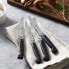 Фото #3 товара Zwilling 140 x 250 mm 4 Star Steak Knife, Set of 4, Stainless Steel