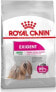 Фото #1 товара Royal Canin Royal Canin Mini Exigent karma sucha dla psów dorosłych, ras małych, wybrednych 1kg