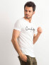 Фото #2 товара Мужская футболка повседневная  белая с надписями Factory Price 249-TS-534.73P